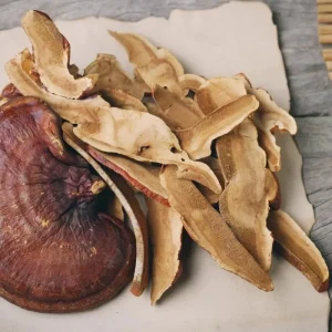 Dried Red Reishi Mushroom