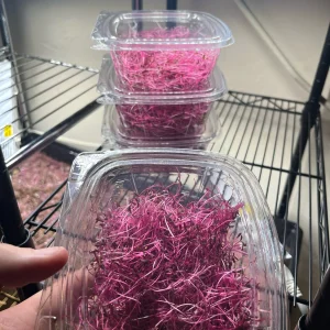 Micro-Amaranth Tray