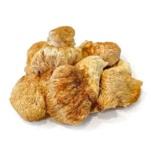 Dried Lions Mane