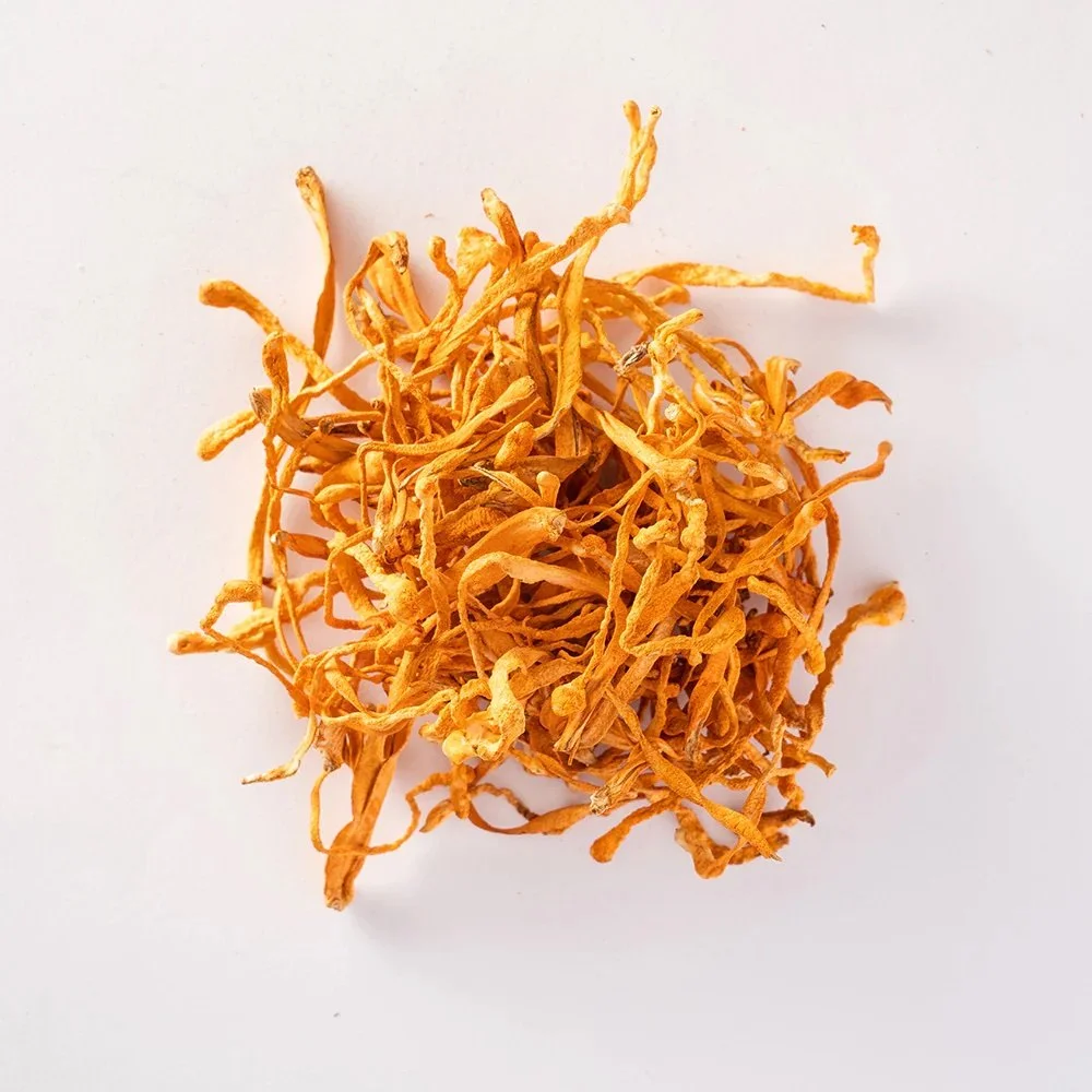 Dried Cordyceps Mushroom