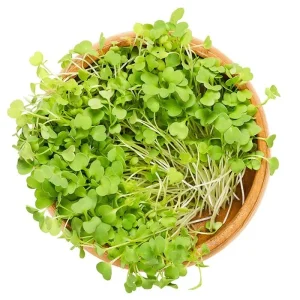 Micro-Arugula