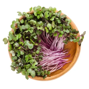 Micro-Cabbage