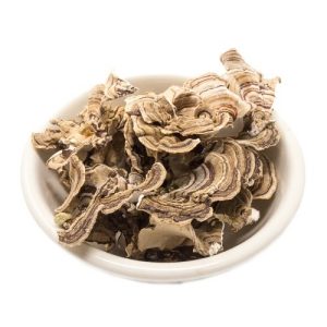Dried Turkey Tail Mushroom