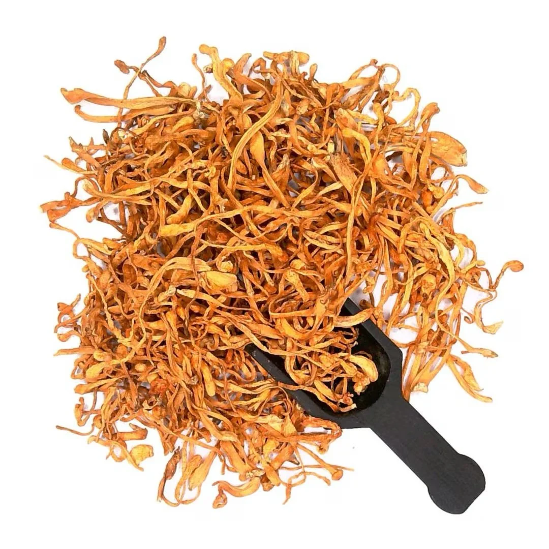 Dried Cordyceps Mushroom - Image 2